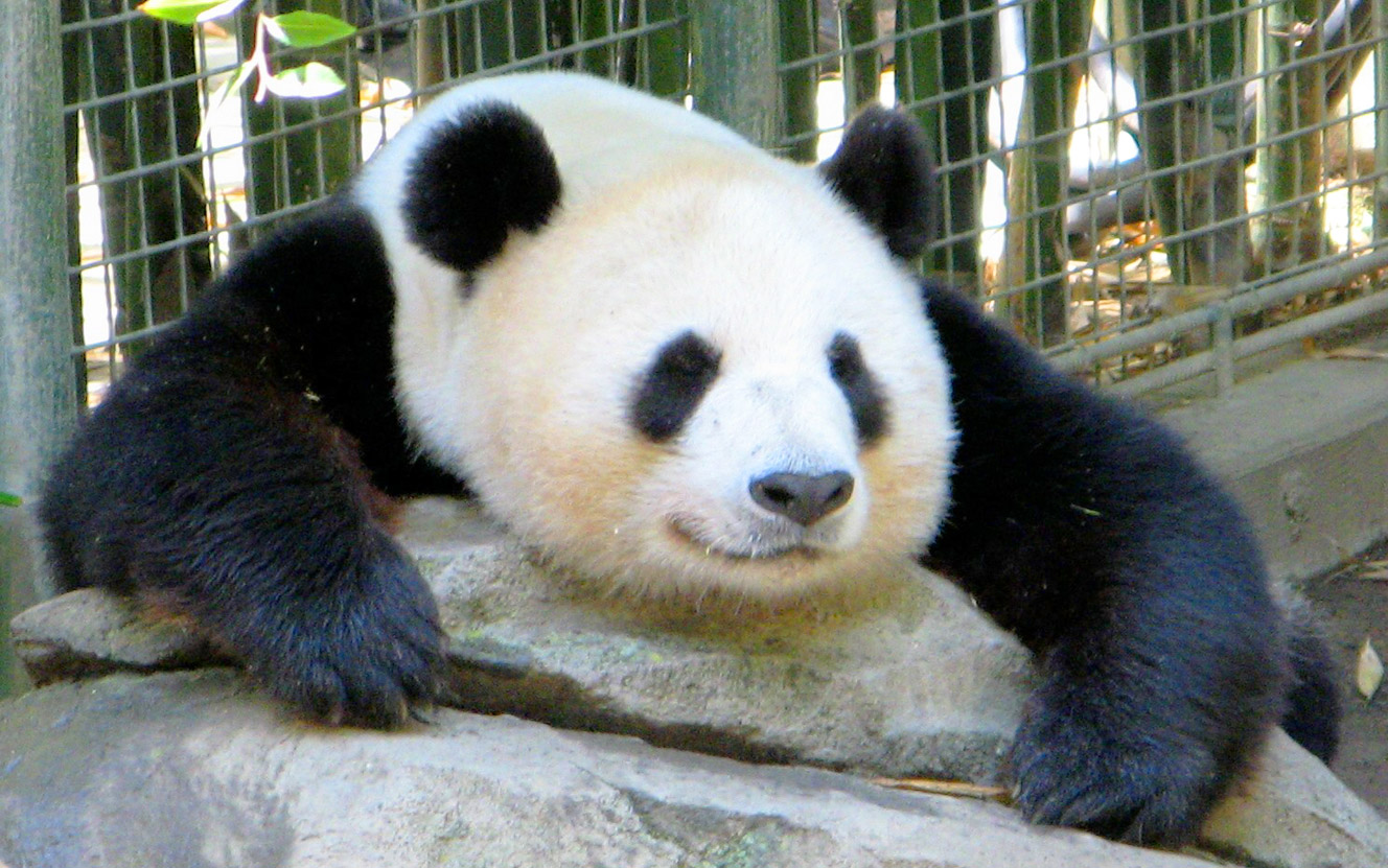 San Diego Vacation - 10 Fun Things to Do